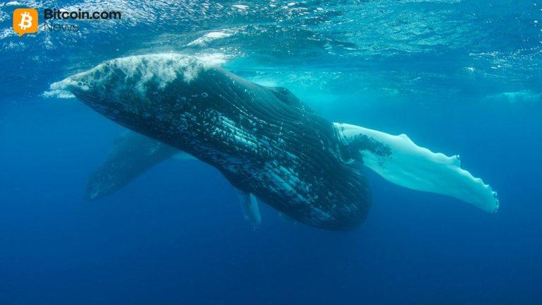 whale who spent 62m on uniswap and compound tokens is now selling at a 39 7m loss2 768x432 1