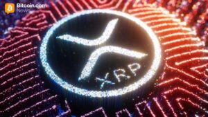 xrp trader losses rebound 768x432 1