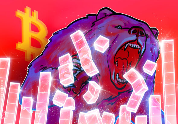 hi market correction vs bear market btc 1