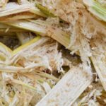 sugarcanebagasse nwmk 768x432 1