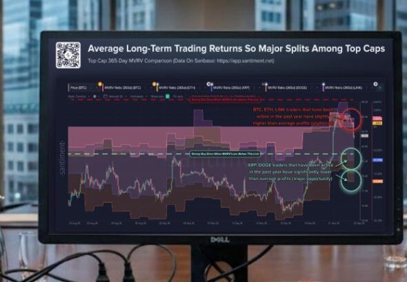 xrp and doge average long term trading returns 768x432 1