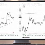peter-brandt-xrp-xmr-768x432-1