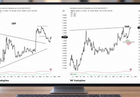 peter brandt xrp xmr 768x432 1